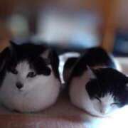 ヒメ日記 2026/03/19 17:57 投稿 ユーコ☆金津随一の神業テク ヴィーナス(金津園)