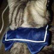 ヒメ日記 2026/03/20 18:18 投稿 ユーコ☆金津随一の神業テク ヴィーナス(金津園)