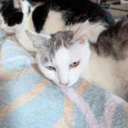 ヒメ日記 2026/03/21 12:18 投稿 ユーコ☆金津随一の神業テク ヴィーナス(金津園)