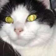 ヒメ日記 2026/03/22 20:03 投稿 ユーコ☆金津随一の神業テク ヴィーナス(金津園)