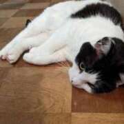 ヒメ日記 2026/03/23 17:42 投稿 ユーコ☆金津随一の神業テク ヴィーナス(金津園)