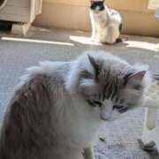 ヒメ日記 2026/03/24 18:18 投稿 ユーコ☆金津随一の神業テク ヴィーナス(金津園)