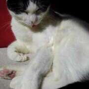 ヒメ日記 2026/03/25 21:06 投稿 ユーコ☆金津随一の神業テク ヴィーナス(金津園)