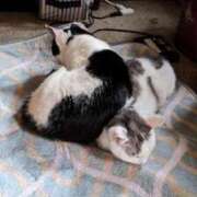 ヒメ日記 2026/03/26 20:06 投稿 ユーコ☆金津随一の神業テク ヴィーナス(金津園)