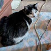 ヒメ日記 2026/03/27 18:42 投稿 ユーコ☆金津随一の神業テク ヴィーナス(金津園)