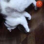 ヒメ日記 2026/03/28 12:12 投稿 ユーコ☆金津随一の神業テク ヴィーナス(金津園)