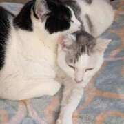 ヒメ日記 2026/03/29 21:42 投稿 ユーコ☆金津随一の神業テク ヴィーナス(金津園)