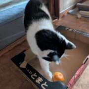 ヒメ日記 2026/03/31 18:36 投稿 ユーコ☆金津随一の神業テク ヴィーナス(金津園)