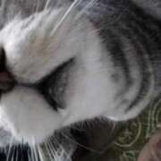 ヒメ日記 2026/04/02 12:03 投稿 ユーコ☆金津随一の神業テク ヴィーナス(金津園)