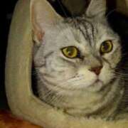 ヒメ日記 2026/04/02 22:06 投稿 ユーコ☆金津随一の神業テク ヴィーナス(金津園)