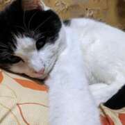 ヒメ日記 2026/04/04 12:18 投稿 ユーコ☆金津随一の神業テク ヴィーナス(金津園)