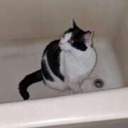 ヒメ日記 2026/04/05 19:33 投稿 ユーコ☆金津随一の神業テク ヴィーナス(金津園)