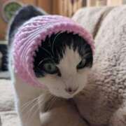 ヒメ日記 2026/04/06 18:48 投稿 ユーコ☆金津随一の神業テク ヴィーナス(金津園)