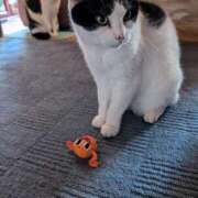 ヒメ日記 2026/04/11 12:03 投稿 ユーコ☆金津随一の神業テク ヴィーナス(金津園)