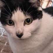 ヒメ日記 2026/04/13 19:00 投稿 ユーコ☆金津随一の神業テク ヴィーナス(金津園)