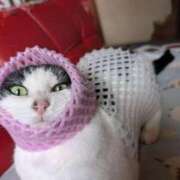 ヒメ日記 2026/04/14 18:03 投稿 ユーコ☆金津随一の神業テク ヴィーナス(金津園)