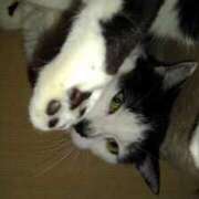 ヒメ日記 2026/04/16 18:03 投稿 ユーコ☆金津随一の神業テク ヴィーナス(金津園)