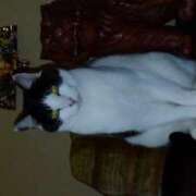 ヒメ日記 2026/04/17 18:34 投稿 ユーコ☆金津随一の神業テク ヴィーナス(金津園)