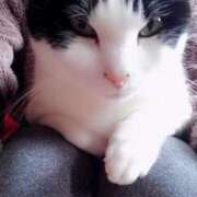 ヒメ日記 2026/04/18 12:15 投稿 ユーコ☆金津随一の神業テク ヴィーナス(金津園)