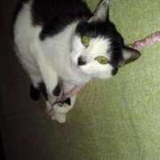 ヒメ日記 2026/04/19 20:03 投稿 ユーコ☆金津随一の神業テク ヴィーナス(金津園)