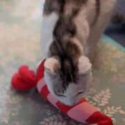 ヒメ日記 2026/04/21 17:48 投稿 ユーコ☆金津随一の神業テク ヴィーナス(金津園)