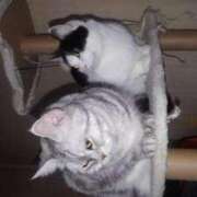 ヒメ日記 2026/04/23 18:48 投稿 ユーコ☆金津随一の神業テク ヴィーナス(金津園)