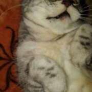 ヒメ日記 2026/04/24 17:48 投稿 ユーコ☆金津随一の神業テク ヴィーナス(金津園)