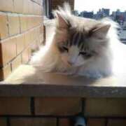 ヒメ日記 2026/04/25 12:03 投稿 ユーコ☆金津随一の神業テク ヴィーナス(金津園)