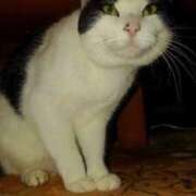 ヒメ日記 2026/04/26 12:12 投稿 ユーコ☆金津随一の神業テク ヴィーナス(金津園)