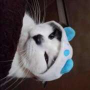 ユーコ☆金津随一の神業テク 始まった ヴィーナス(金津園)