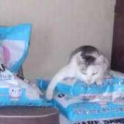 ユーコ☆金津随一の神業テク 物欲 ヴィーナス(金津園)