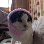 ヒメ日記 2026/04/28 17:36 投稿 ユーコ☆金津随一の神業テク ヴィーナス(金津園)