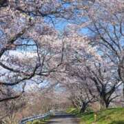 ヒメ日記 2026/03/26 18:18 投稿 レイ☆憧れの潜在美脚的なお嬢様 ヴィーナス(金津園)