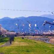 ヒメ日記 2026/04/03 20:33 投稿 レイ☆憧れの潜在美脚的なお嬢様 ヴィーナス(金津園)