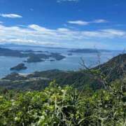 ヒメ日記 2025/07/14 15:20 投稿 しの 人妻美人館