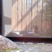 ヒメ日記 2025/08/31 00:20 投稿 しの 人妻美人館