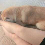 ヒメ日記 2025/08/29 09:59 投稿 城崎もも 言葉責めＭ性感イッツブーリー（横浜ハレ系）