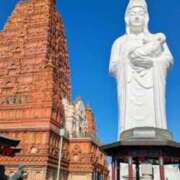 ヒメ日記 2025/01/05 09:44 投稿 なな 桃李（とうり）