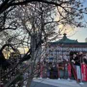 ヒメ日記 2025/01/20 19:24 投稿 なな 桃李（とうり）