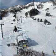 ヒメ日記 2025/02/12 10:24 投稿 なな 桃李（とうり）