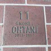 ヒメ日記 2025/02/14 09:44 投稿 なな 桃李（とうり）