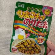 ヒメ日記 2025/02/26 08:49 投稿 なな 桃李（とうり）