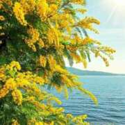 ヒメ日記 2025/03/09 14:34 投稿 なな 桃李（とうり）