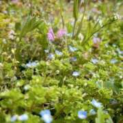 ヒメ日記 2025/03/10 09:20 投稿 なな 桃李（とうり）