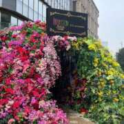 ヒメ日記 2025/03/13 09:40 投稿 なな 桃李（とうり）