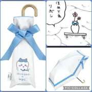 ヒメ日記 2025/03/14 09:44 投稿 なな 桃李（とうり）