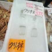 ヒメ日記 2025/03/14 10:14 投稿 なな 桃李（とうり）