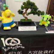 ヒメ日記 2025/03/17 09:20 投稿 なな 桃李（とうり）