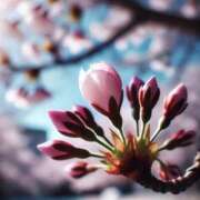 ヒメ日記 2025/03/26 09:54 投稿 なな 桃李（とうり）