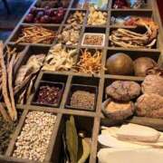 ヒメ日記 2025/04/02 19:49 投稿 なな 桃李（とうり）